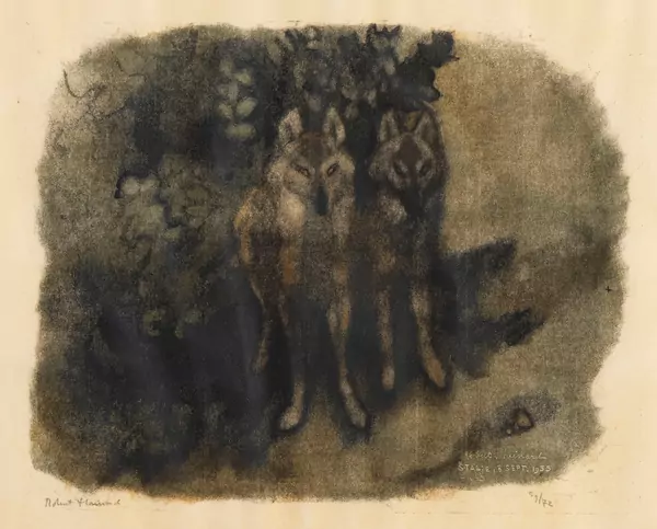 Couple de Loups à l'aube