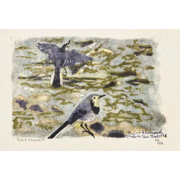 Robert Hainard — "Deux bergeronnettes grises".