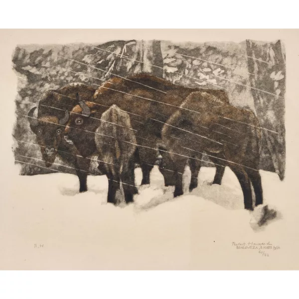 Robert Hainard — "Bisons sous la neige".