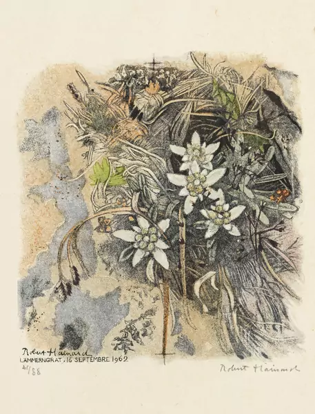 Edelweiss