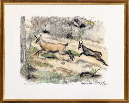 Chamois