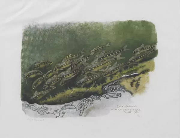 Robert Hainard (1906-1999) — Genève Enchères