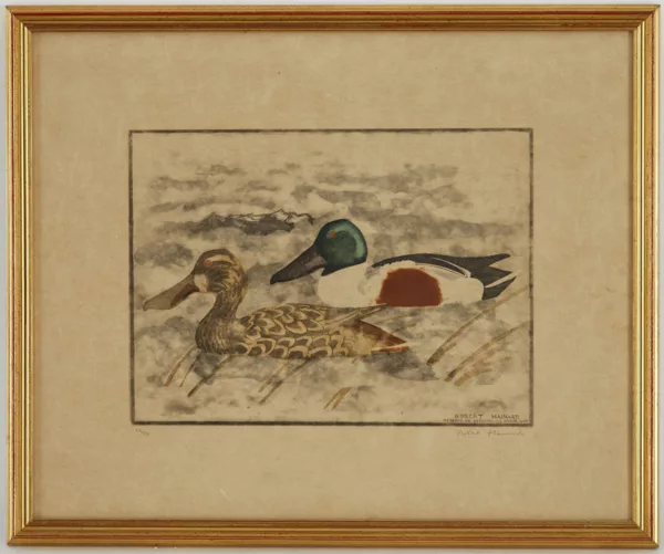 Robert Hainard — Robert Hainard (1906-1999), \\Canards, réserve du