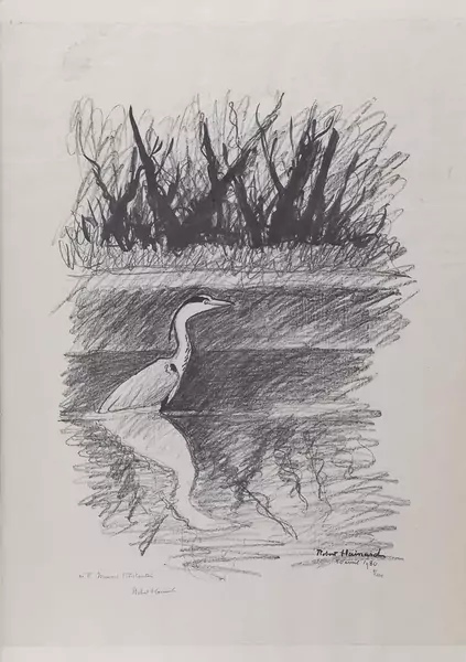 Robert Hainard (1906-1999) — Genève Enchères