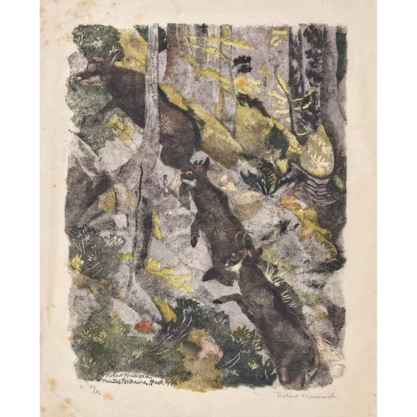 Robert Hainard — "Chamois grimpant en fôret".