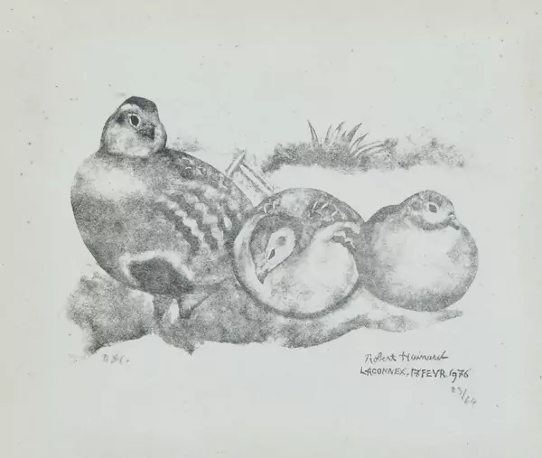 Robert Hainard (1906-1999) — Genève Enchères