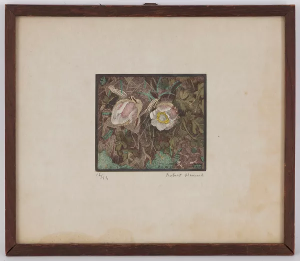 Robert Hainard — Anémones du printemps, Za di faye, 10 juin 1929,