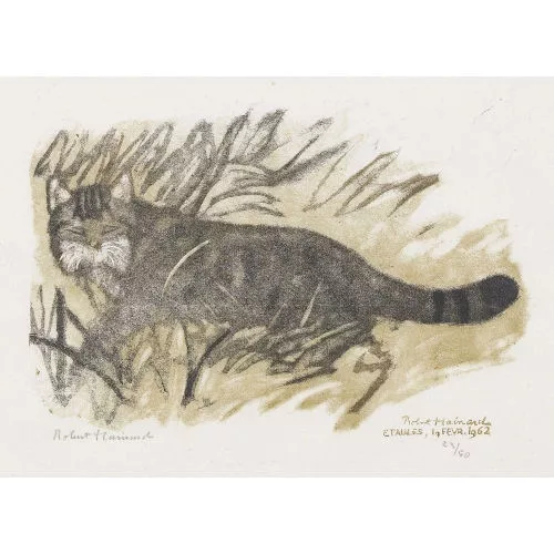 Robert Hainard — "Chat sauvage".