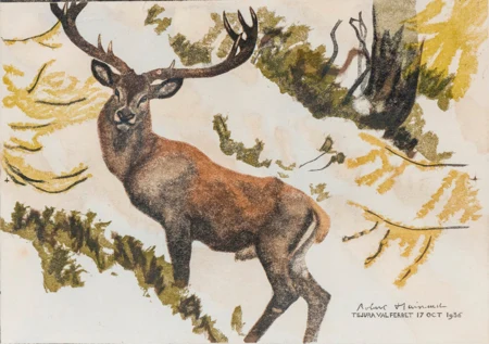 Le cerf