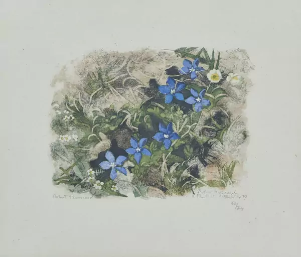 Robert Hainard (1906-1999) — Genève Enchères