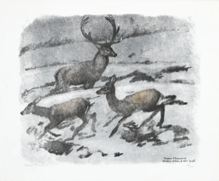 Cerf et biches dans la pénombre