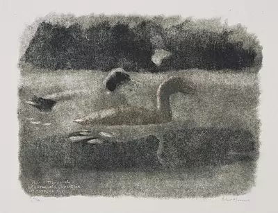 Robert Hainard — Dezember 2015 (A139) - Auktionsstart: 11.12.2015, 15:30 — Schuler Auktionen