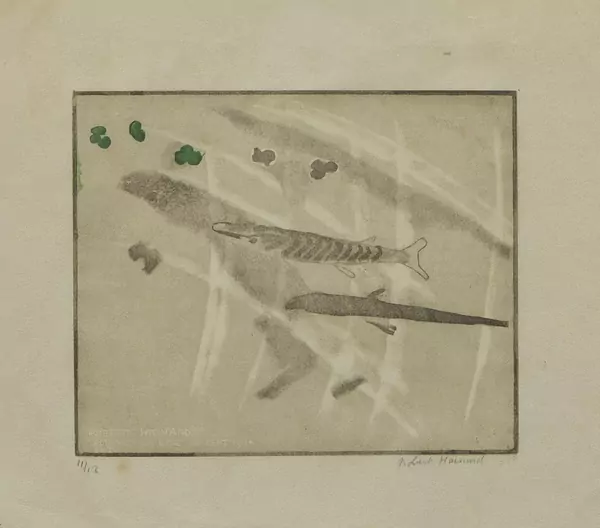 Robert Hainard (1906-1999) — Genève Enchères
