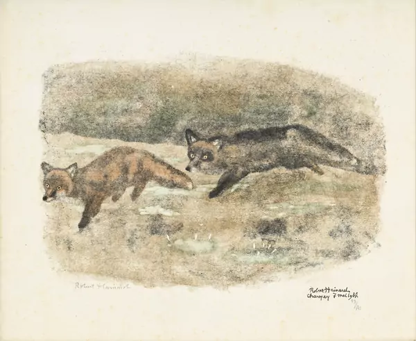 Poursuite de renards