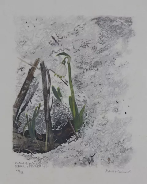 Robert Hainard (1906-1999) — Genève Enchères