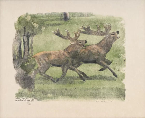 Robert Hainard — Deux cerfs