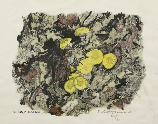 Robert Hainard (1906-1999) — Genève Enchères