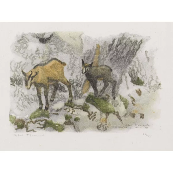 Robert Hainard — "Chamois, femelle et jeune sur une vire".