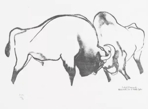 Robert HAINARD (1906-1999), "Bisons luttant", gravure — DognyAuction