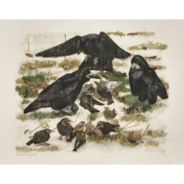 Robert Hainard — "Freux, corneille, étourneaux, pinsons du Nord".