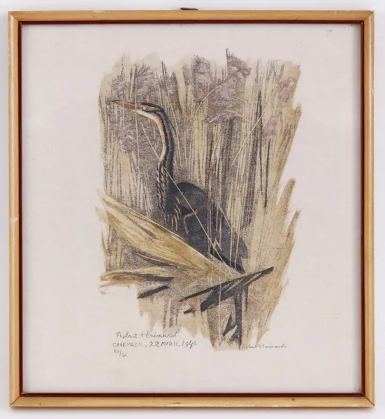 Robert Hainard — Robert Hainard (1906-1999), Héron pourpré dans les