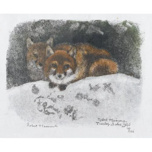 Robert Hainard — Couple de renards devant le terrier.