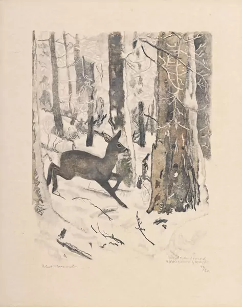 Forêt givrée et chevrette