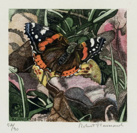 Papillons