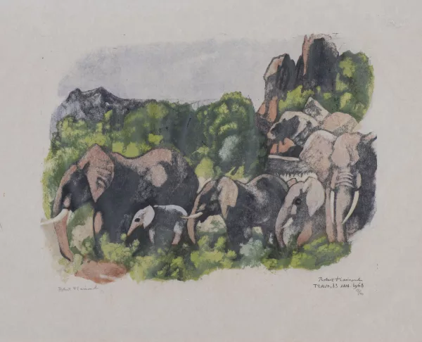 Robert Hainard — Troupeau d'éléphants