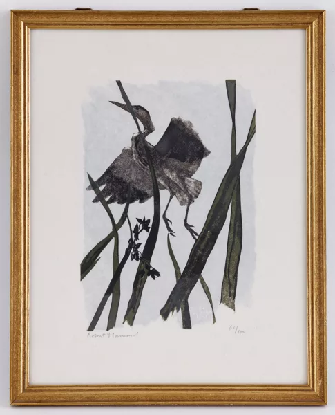 Robert Hainard — Robert Hainard (1906-1999), Héron cendré s'envolant