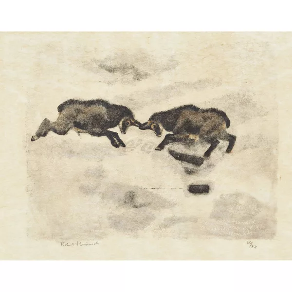 Robert Hainard — "Accrochage de chamois".