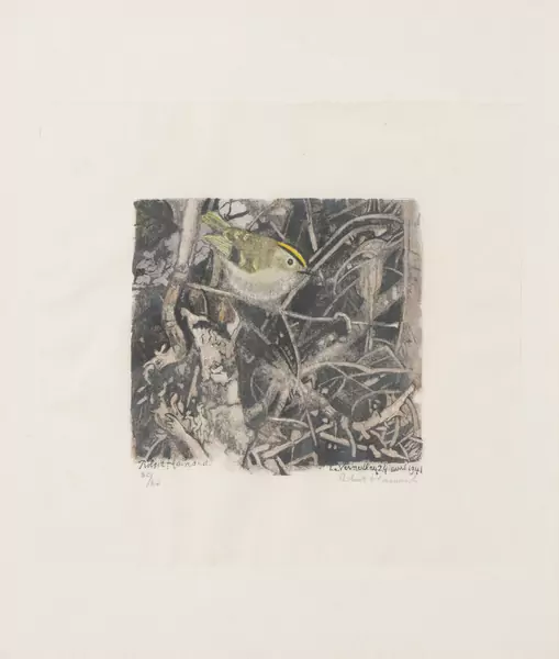 Robert HAINARD (1906-1999), "Roitelet huppé", xylogravure — DognyAuction