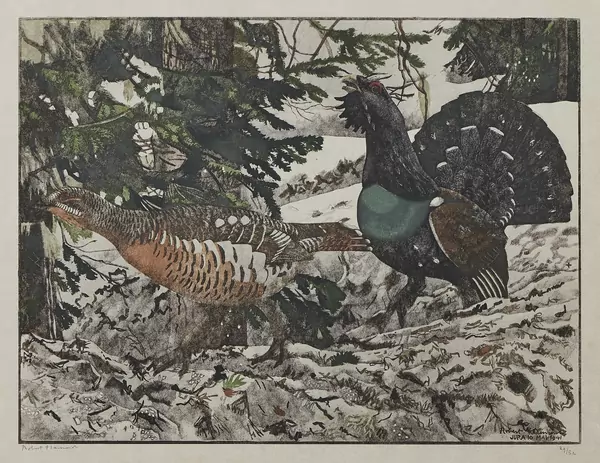 Robert Hainard (1906-1999) — Genève Enchères