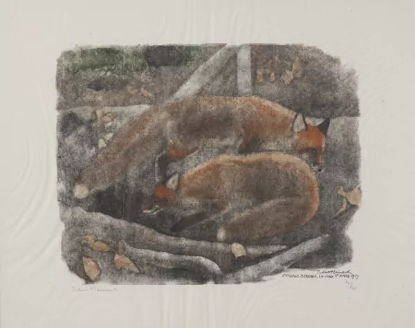 Robert HAINARD (1906-1999), "Deux renards devant le terrier", xylogravure — DognyAuction