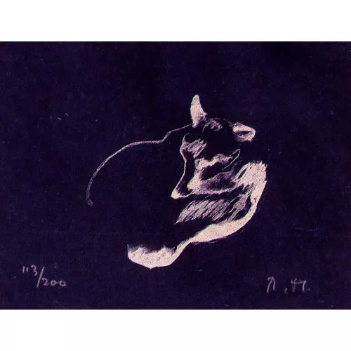 Robert Hainard — Le renard.