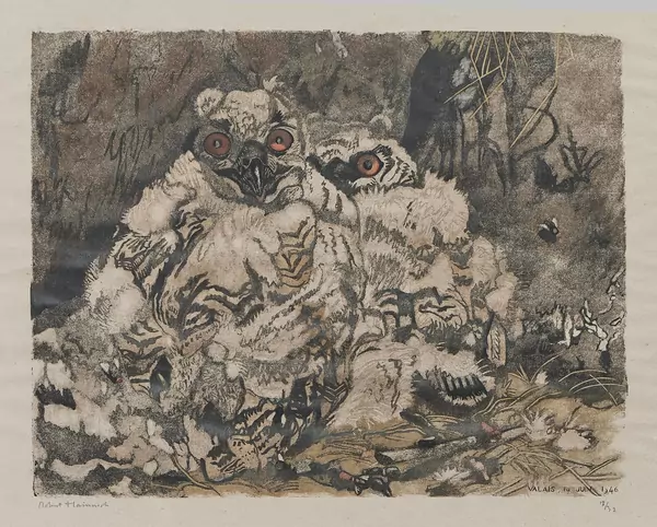 Robert Hainard (1906-1999) — Genève Enchères
