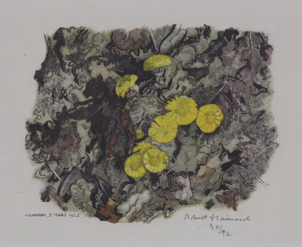 Robert Hainard (1906-1999) — Genève Enchères