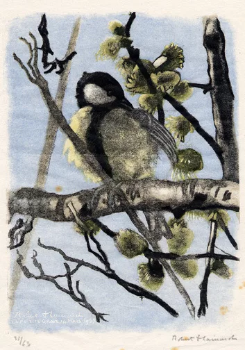 Robert Hainard — Oiseau, 1957