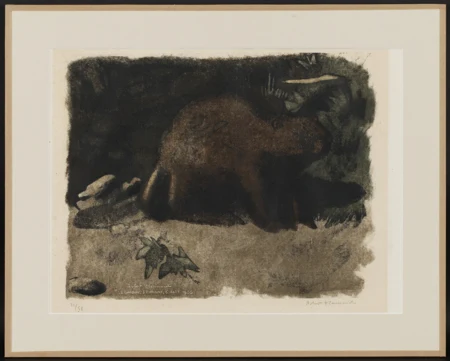 Castor au clair de lune