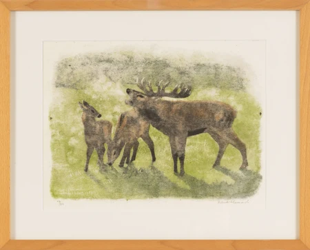 Cerf brâmant