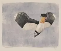 Oiseau en vol, 1946