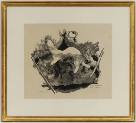Hermine sur un vieux mur