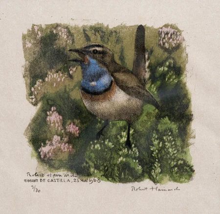 Oiseau