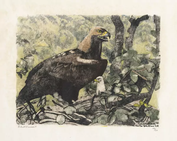 Aire d'aigle impérial