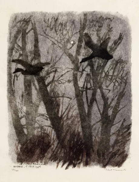 Robert Hainard — Deux canards au clair de lune