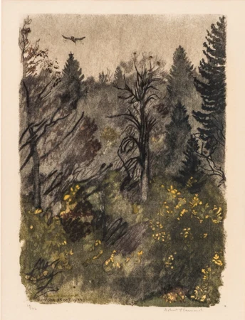 Bécasse à l'aube