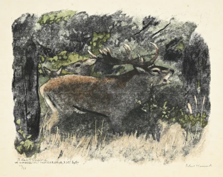 Cerf brâmant, biche et faon