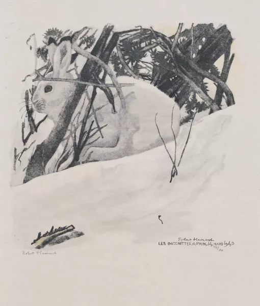 Robert Hainard — Lièvre dans la neige