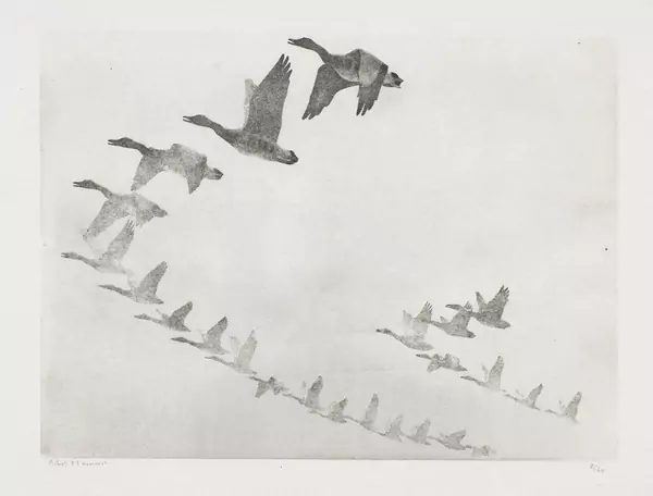 Robert Hainard (1906-1999) — Genève Enchères