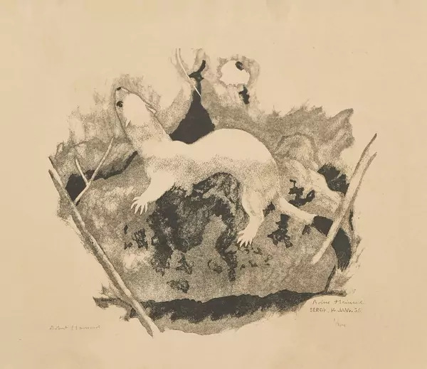 Robert Hainard (1906-1999) — Genève Enchères